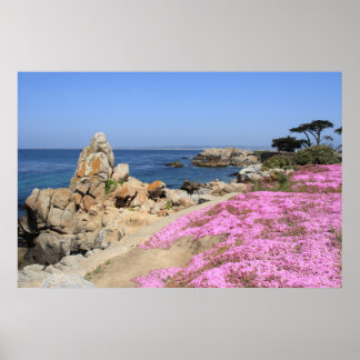 Poster Pacific Grove