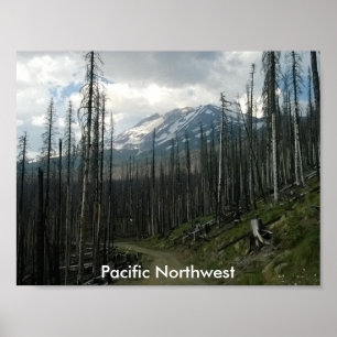 Poster Pacific Northwest Back Road Beauté
