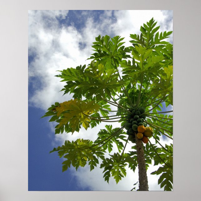 Poster Pacifique Sud, Polynésie française, Moorea. 2 (Devant)