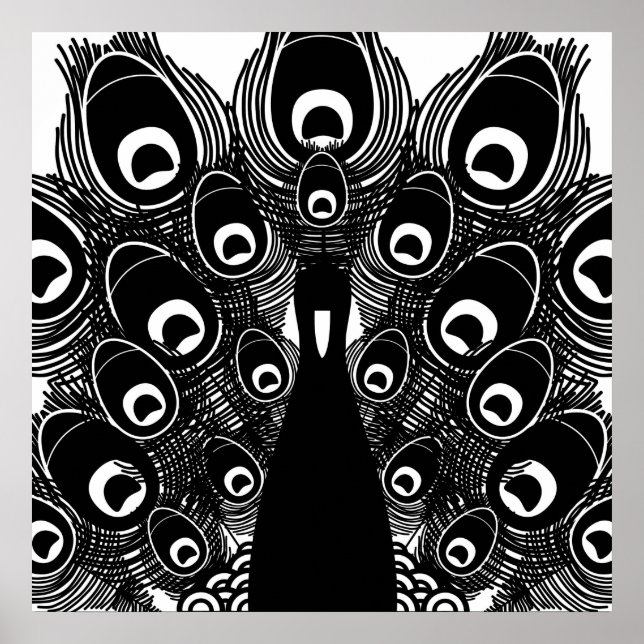 Poster Pacock (Devant)