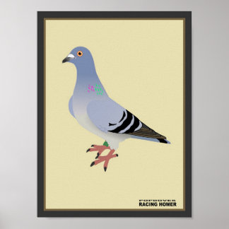 Poster Page d'accueil de la course belge