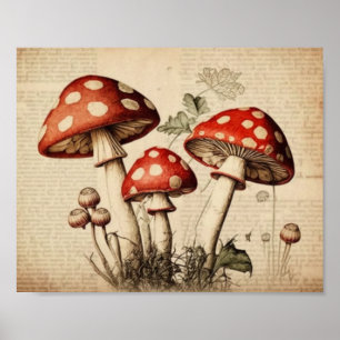 Poster Page de champignons vintages