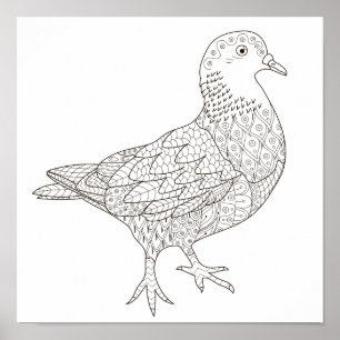 Poster Page de coloration Fancy Pigeon