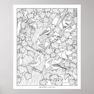 Poster Page de coloration pour adultes d'oiseaux et d'éra