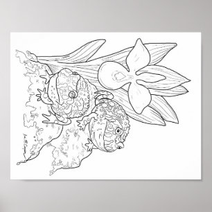 Poster Page de coloriage de grenouilles à cornes d'orneme