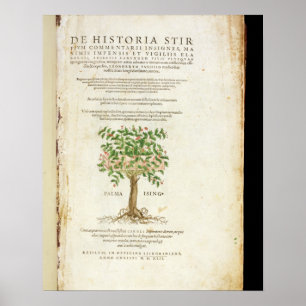 Poster Page de titre de 'De Historia Stirpium Commentarii