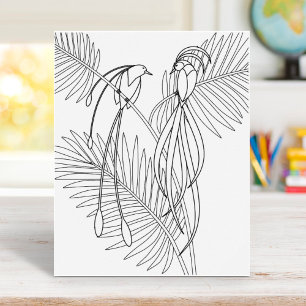 Poster Page Oiseaux de paradis
