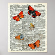 Page vintage Butterfly Botanical #11 sur le dictio