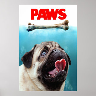 POSTER PAGES