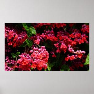 Poster Pagoda Flowers Colorful