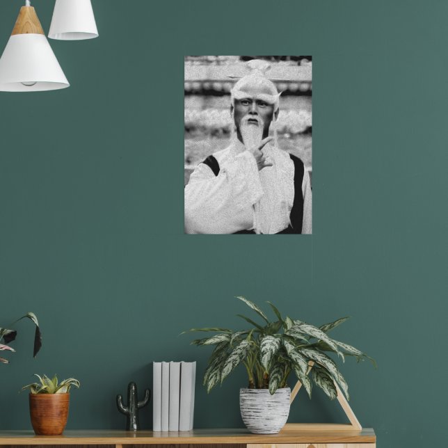 Poster Pai Mei (Salon 1)