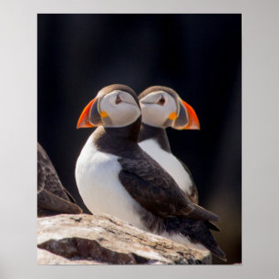 Poster Pair de Tampins
