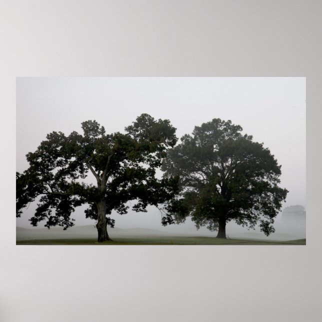 Poster Paire (Devant)