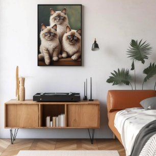 Poster Paire adorable de Ragdoll Kittens Chat doux