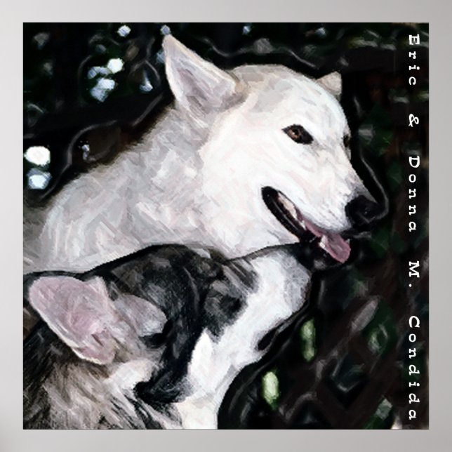 Poster Paire Alpha (Devant)