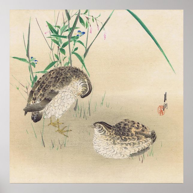Poster Paire d'affiche de Quail (Devant)
