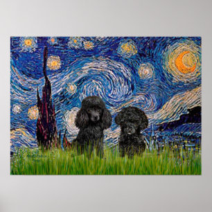 Poster Paire de caniches (noir) - Nuit étoilée