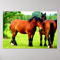 Paire De Chevaux Polonais De Baie | Paysage vert