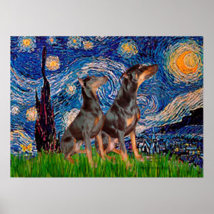 Poster Paire de doberman - Nuit étoilée