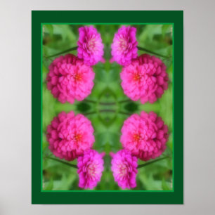 Poster Paire de fleurs rose Zinnia gros Abstrait
