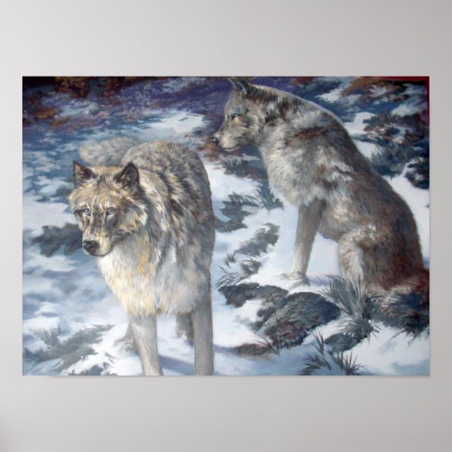 Poster Paire de loup de l'Alaska pendant l'affiche hivern (Devant)