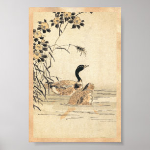 Poster Paire d'oies avec Camellias Art japonais vintage