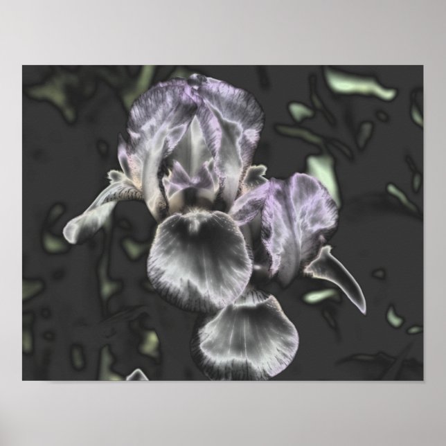 Poster Paire Fleur Iris Pharée Métallic Art Abstrait (Devant)