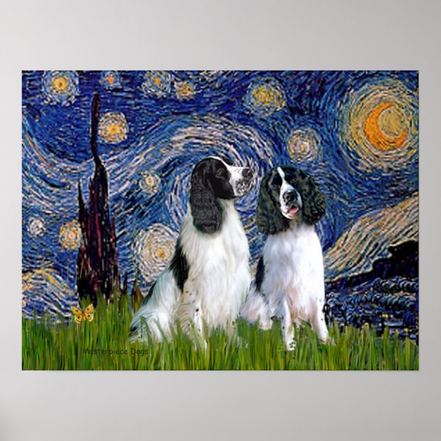 Poster Paire Springer Anglais - Nuit étoilée (Devant)