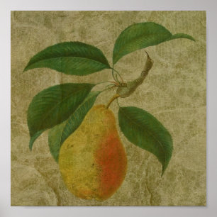 Poster Paire Vintage