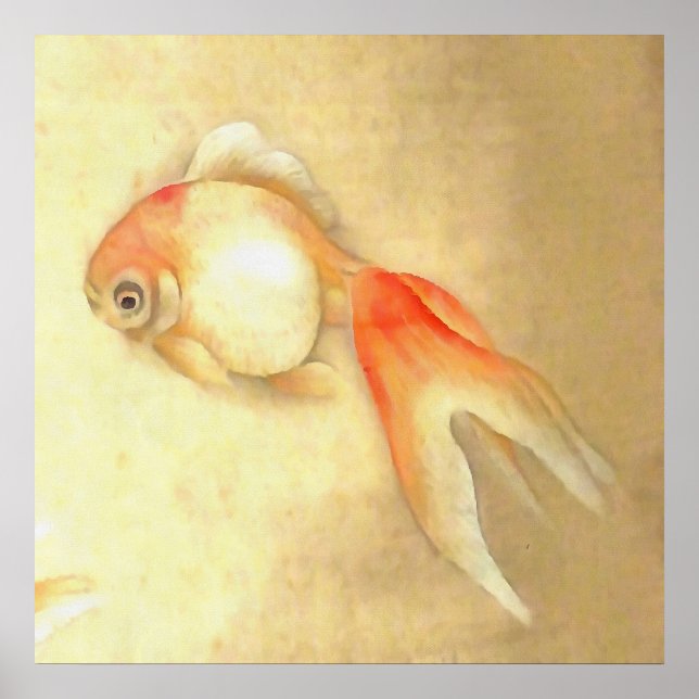 Poster Paisible poisson rouge japonais (Devant)