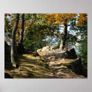 Poster Paisible sentier forestier Nature Effet Orton