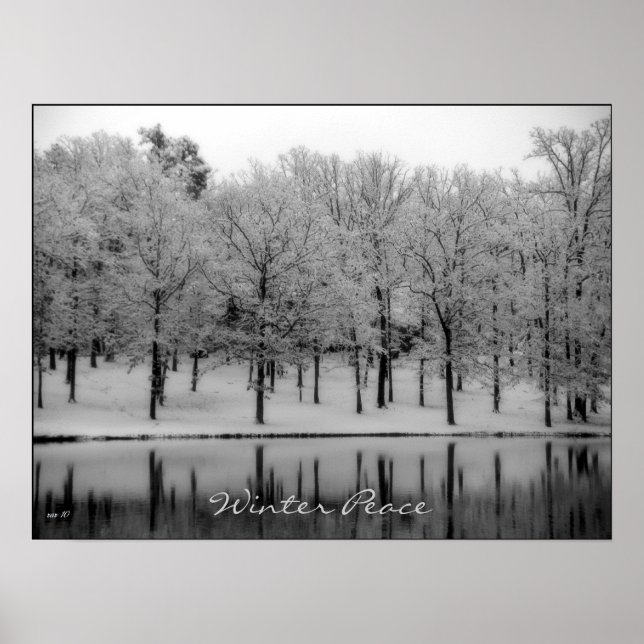 Poster Paix hivernale (Devant)