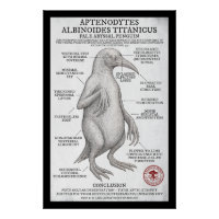 Pale Abyssal Penguin (Miskatonic Antarctic Survey)