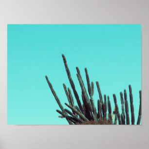 Poster Pale Green Cactus Succulent minimalisme Plante