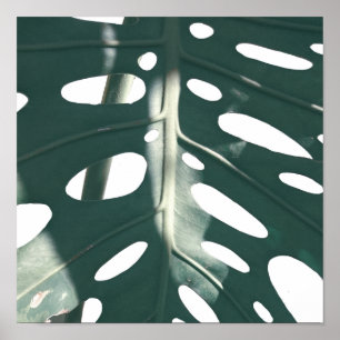 Poster Pale Green Pastel Fromage Suisse Plante