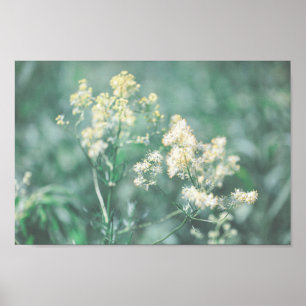 Poster Pale Pastel Green Fleurs sauvages Pré