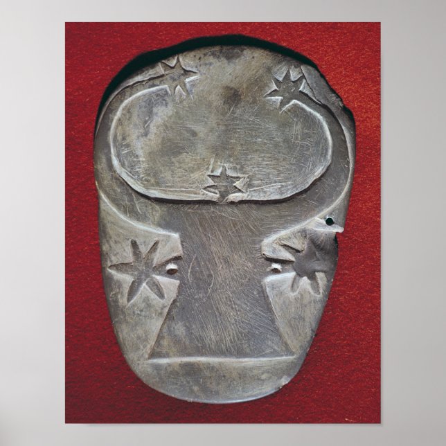 Poster Palette de tête de Bull (Devant)