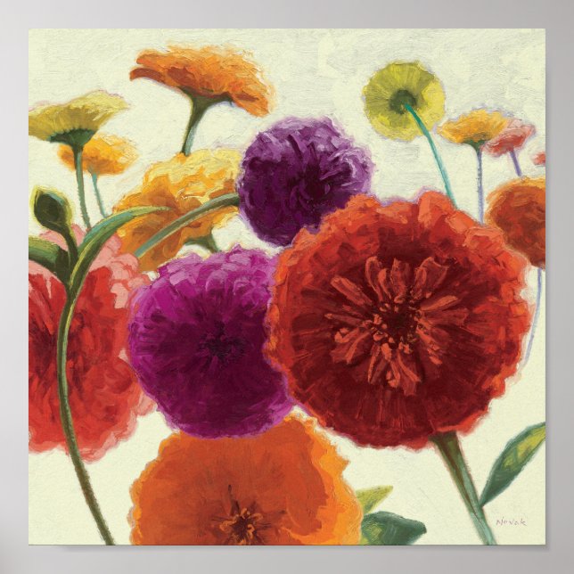 Poster Palette pure Zinnias (Devant)