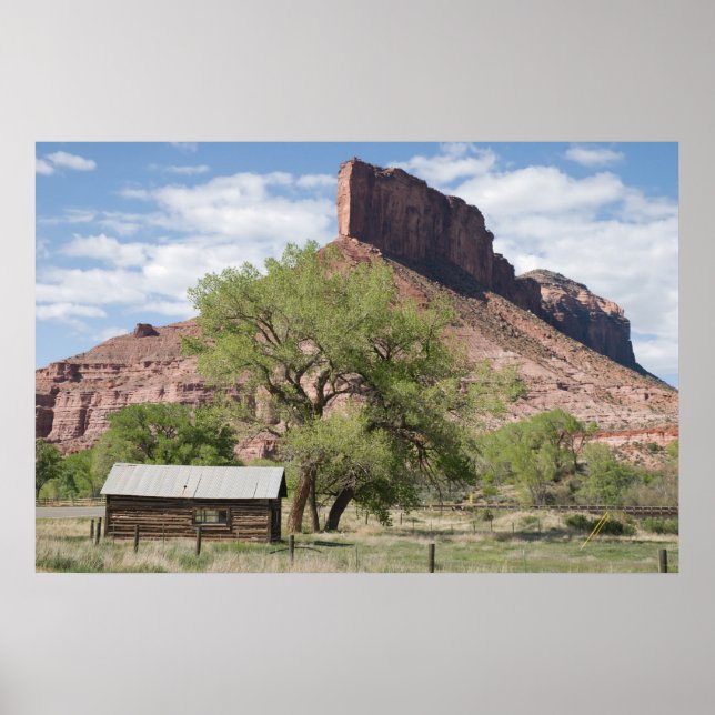 Poster Palisade et Pioneer Cabine (Devant)