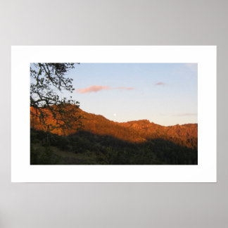 Poster "Palisades"