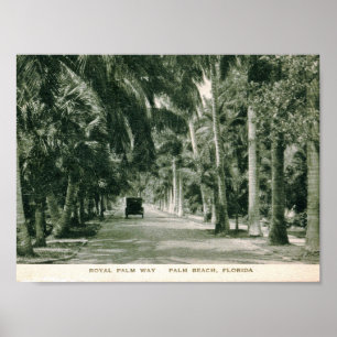 Poster Palm Beach, la Floride, cru de manière de palmier