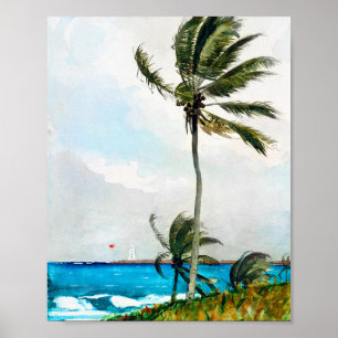 Poster Palm Tree Nassau par Winslow Homer