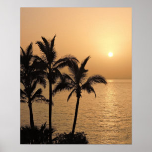 Poster Palm Trees and Romantic Sunset