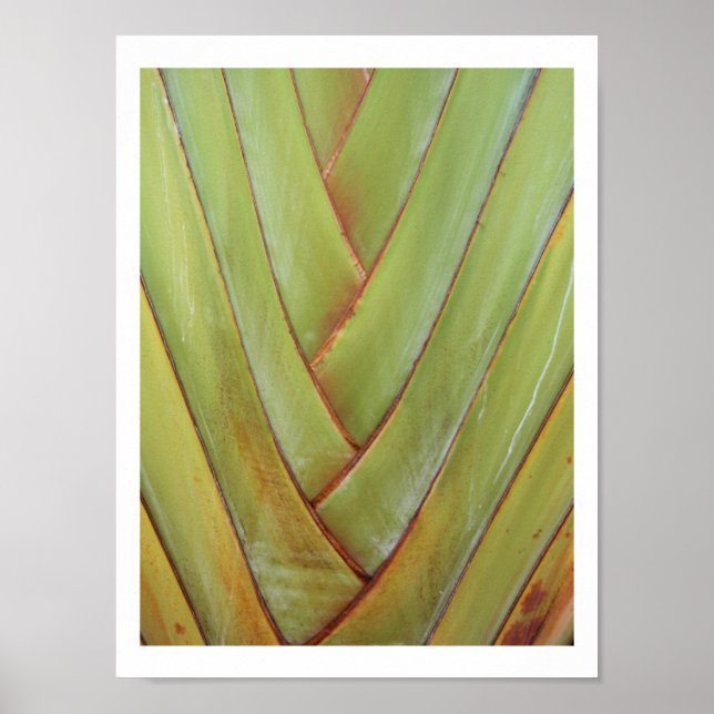 Poster Palme du voyageur (Devant)