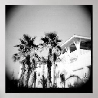 Poster Palme noire et blanche