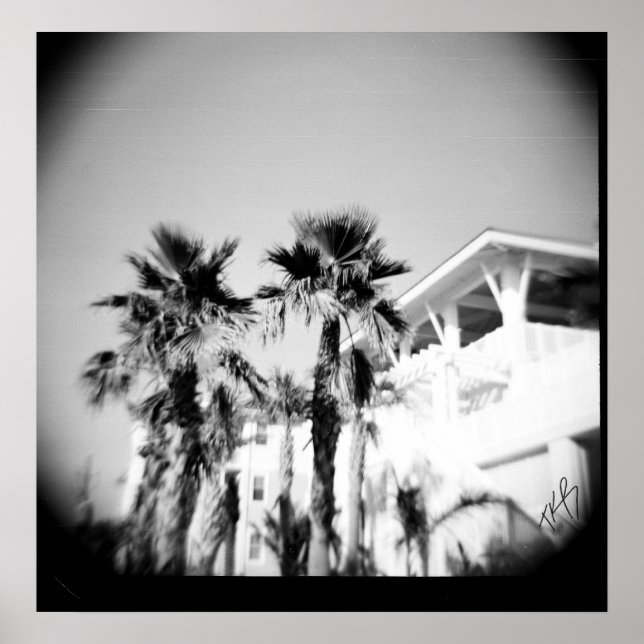 Poster Palme noire et blanche (Devant)