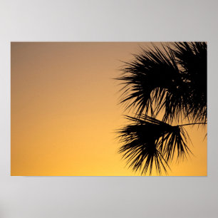 Poster Palmetto, lever du soleil, Floride