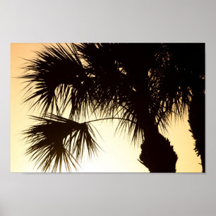 Poster Palmetto, lever du soleil, Floride