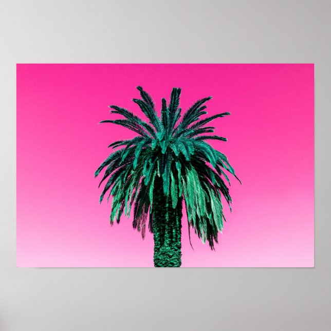 Poster Palmier de Californie (Devant)