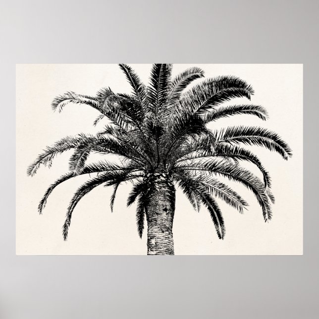 Poster Palmier de l'île tropicale rétro en noir et blanc (Devant)